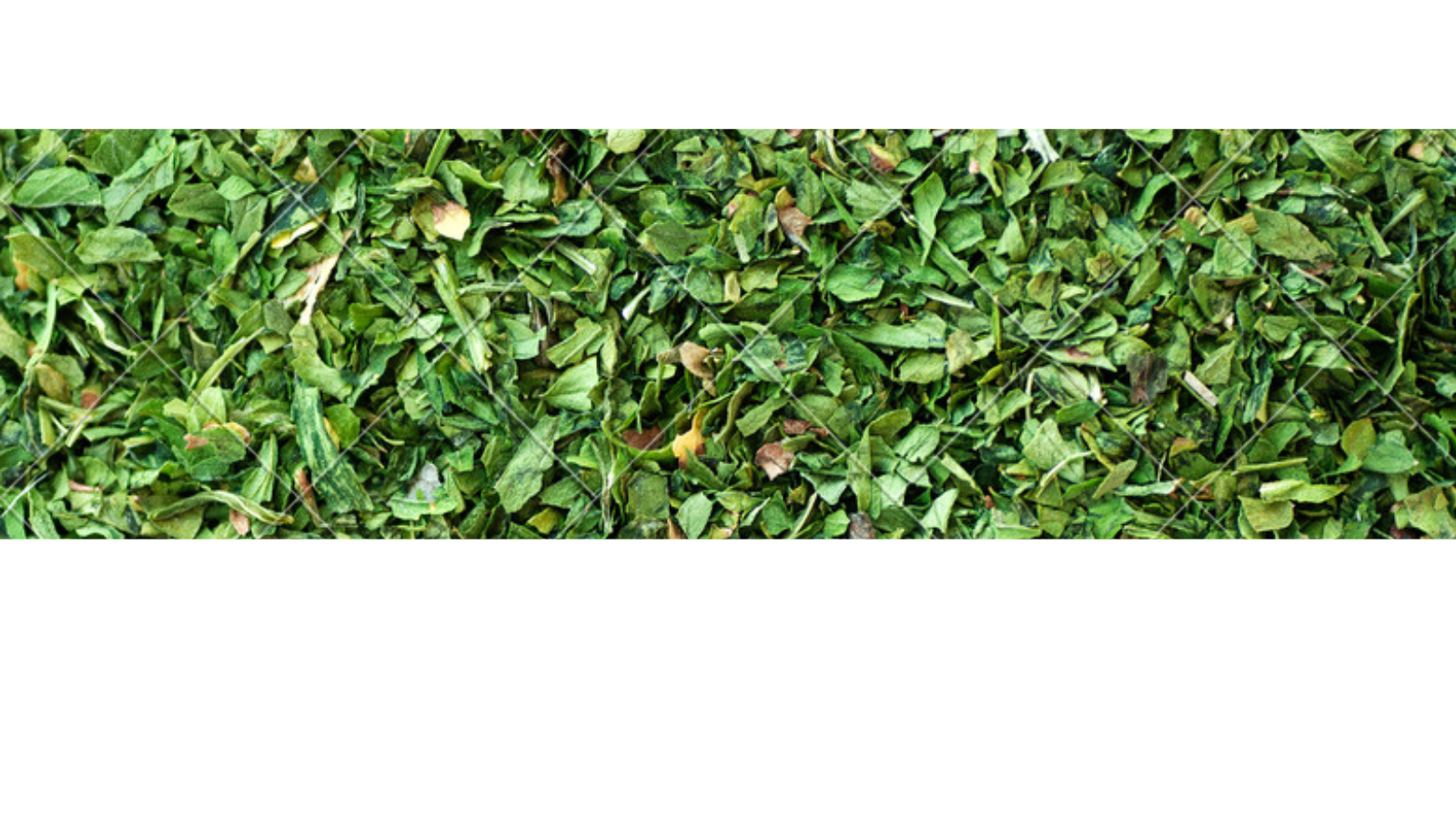 Parsley