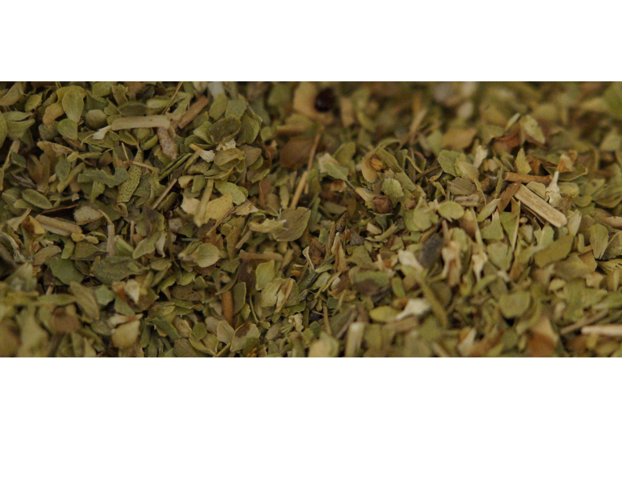 Oregano